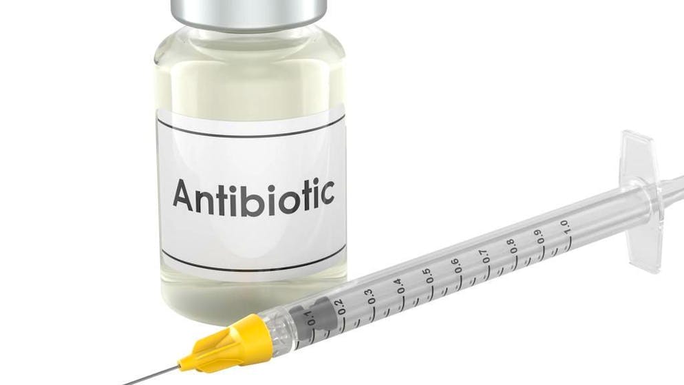 Medicina. Gli antibiotici a volte non bastano a fermare i batteri