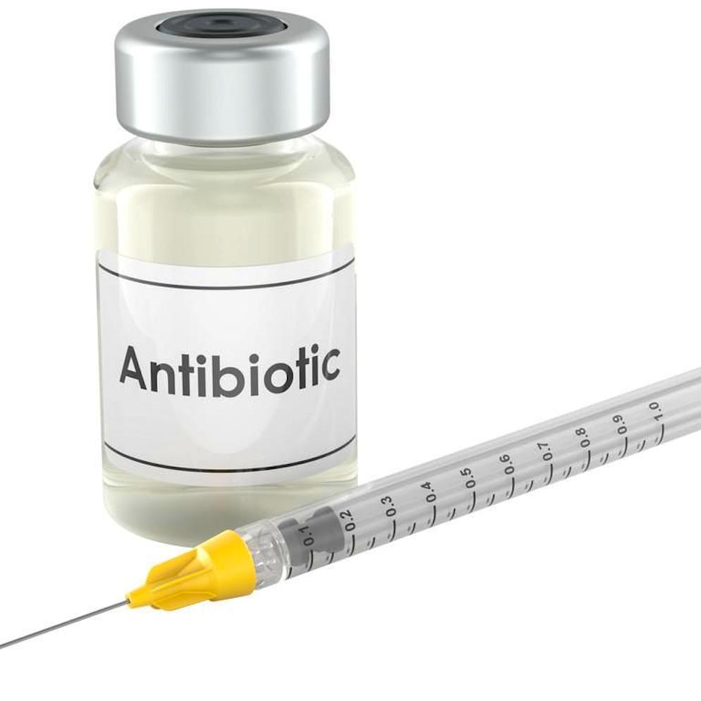 Medicina. Gli antibiotici a volte non bastano a fermare i batteri