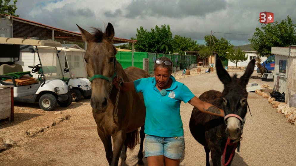 «Adieu Heimat» 3. Folge. Kommen alle Tiere am neuen Ort gut an? Farah muss alle innerhalb eines Tages umsiedeln, sie hat nur an einem Tag die Zügelbewilligung.