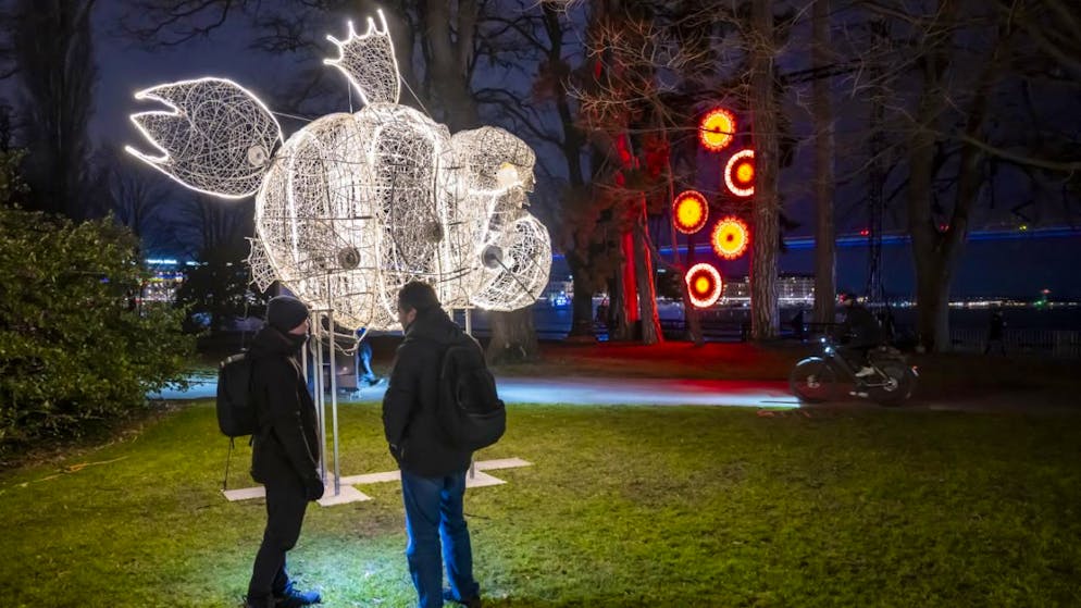 Les badauds genevois pourront à nouveau voir un certain nombre d'animaux pendant le festival Geneva Lux dans la rade (archives).