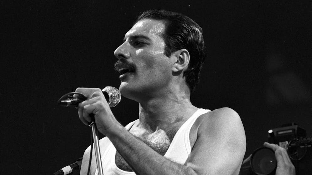 Dopo una grave malattia. La presunta figlia segreta di Freddie Mercury muore all'età di 48 anni