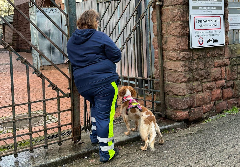 Noah (8) in Frankfurt verschwunden. Auch mit Hilfe eines Hundes wurde der Junge gesucht.