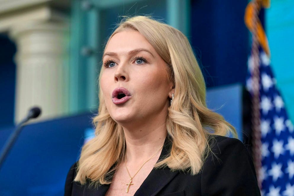 The US government will not be dissuaded from its plans for Greenland. (archive picture)