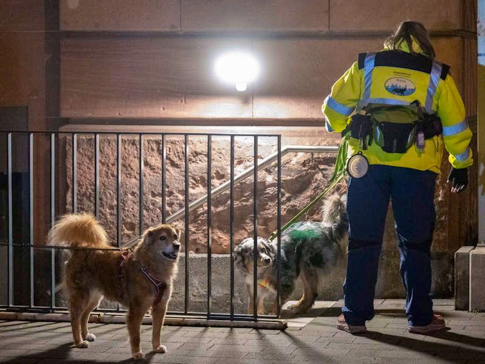 Mit Hunden sucht eine private Initiative im Bahnhofsviertel von Frankfurt nach Hinweisen auf den Verbleib eines achtjährigen Jungen. Bislang wurde lediglich der Schulranzen des Kindes gefunden. 