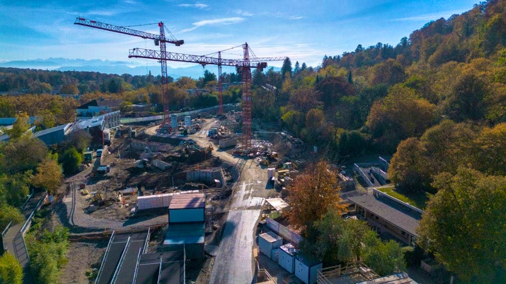 Construction of the new Pantanal aviary at Zurich Zoo is currently at a standstill.