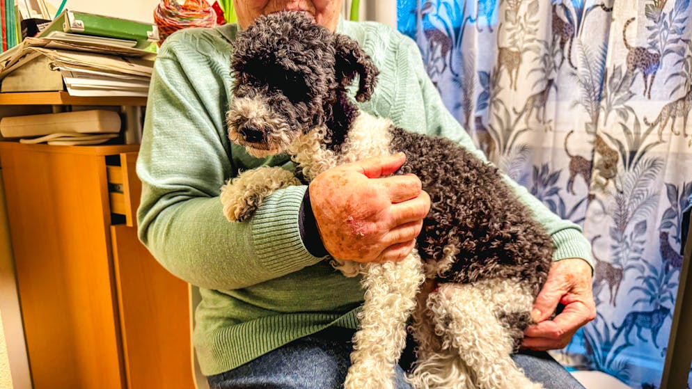 Eine Rentnerin aus dem Kanton Bern steht am Montagnachmittag vor Gericht.