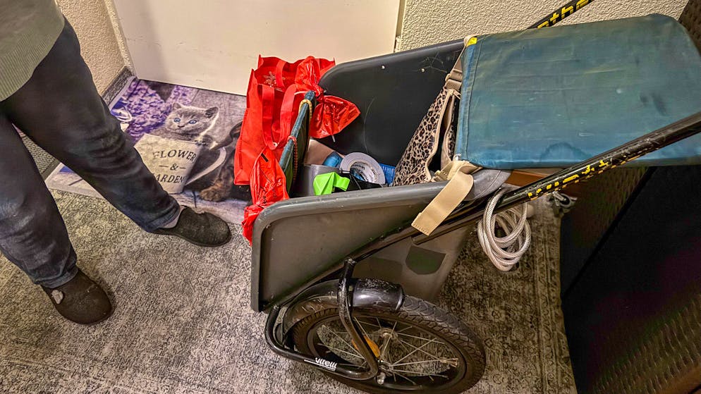 In diesem Einkaufstrolley sass der kleine Pudel.