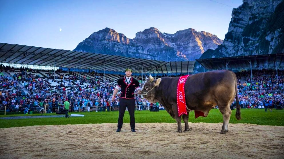 This summer's ESAF in Mollis GL, which ended with Armon Orlik's triumph, closed with a positive financial result.