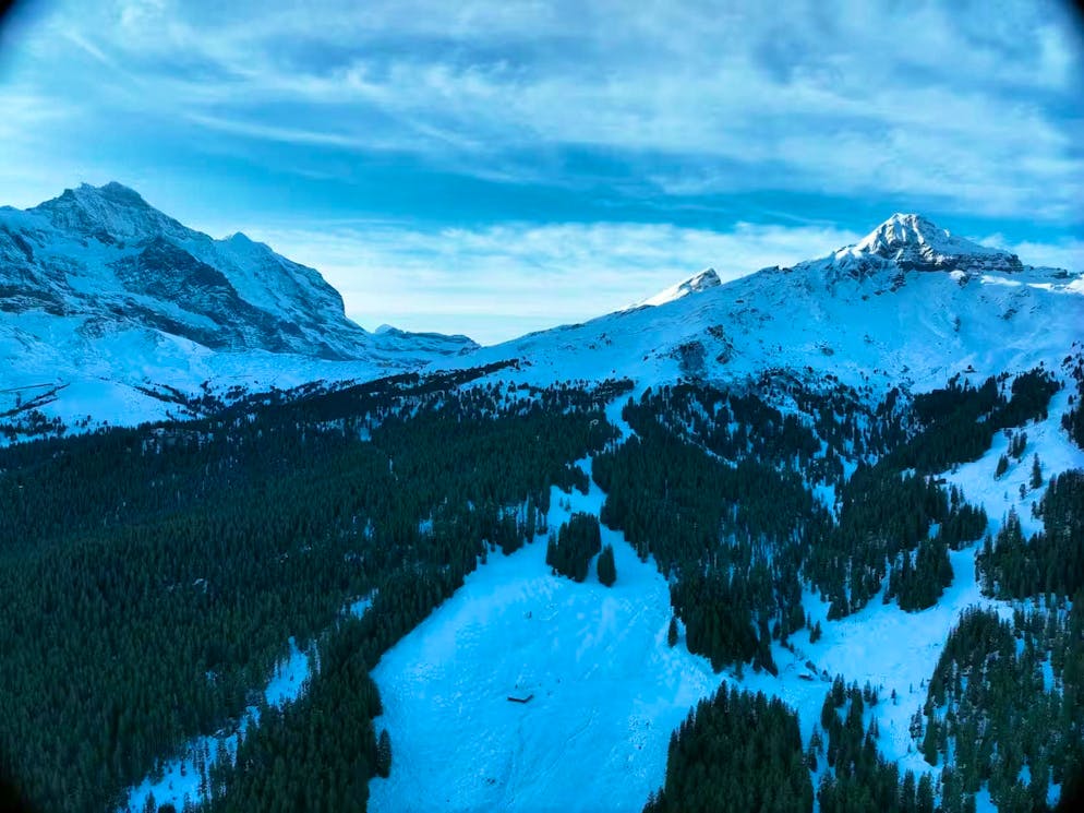 The skier died at the scene of the accident.