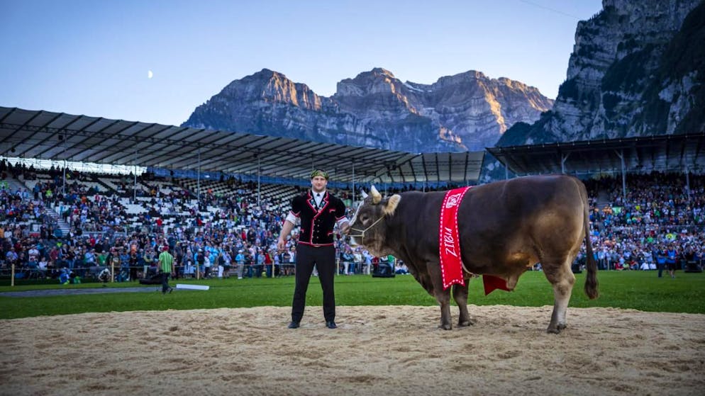 La FFLS, qui s'est déroulé cet été à Mollis (GL), a clôturé ses comptes sur un résultat financier positif.