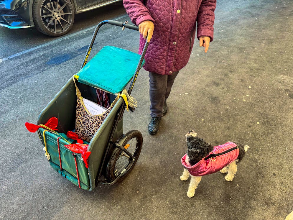 Die Rentnerin erschien am Montag mit ihrem Pudel im Partnerlook.