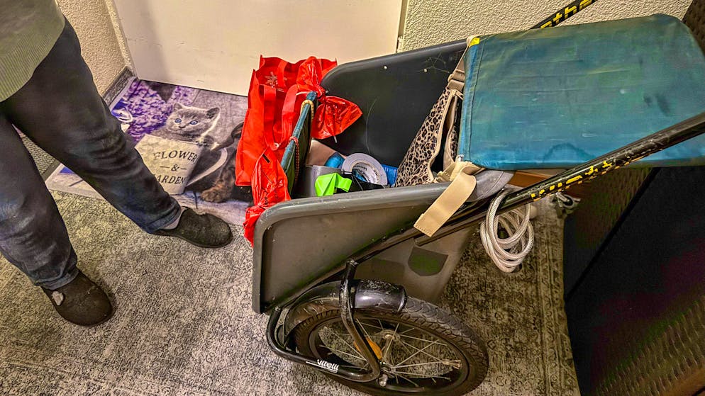 Le petit caniche était assis dans ce chariot.