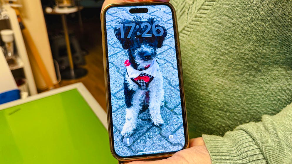 Le petit caniche représente tout pour la retraitée.