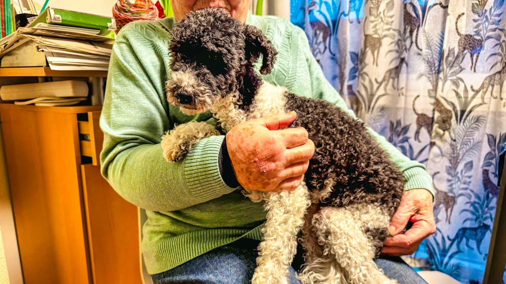 Una pensionata del Canton Berna andrà a processo lunedì pomeriggio.