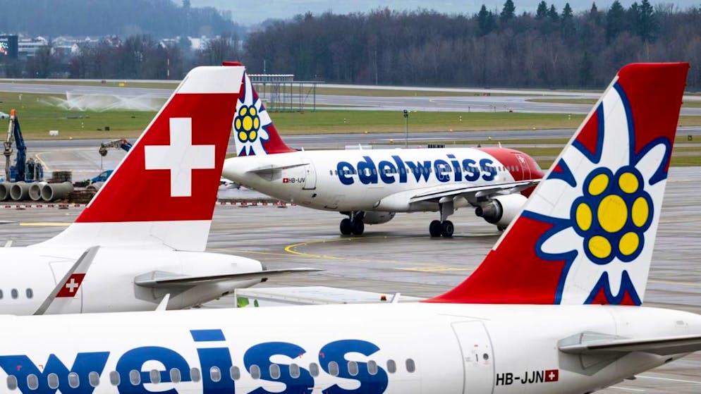 Aviazione. Edelweiss vola alto: nel 2025 record di fatturato e passeggeri