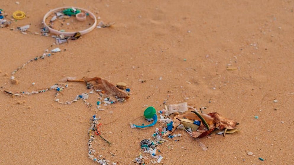 Studi. Microplastiche nel corpo umano: perché molti studi ora finiscono sotto accusa?