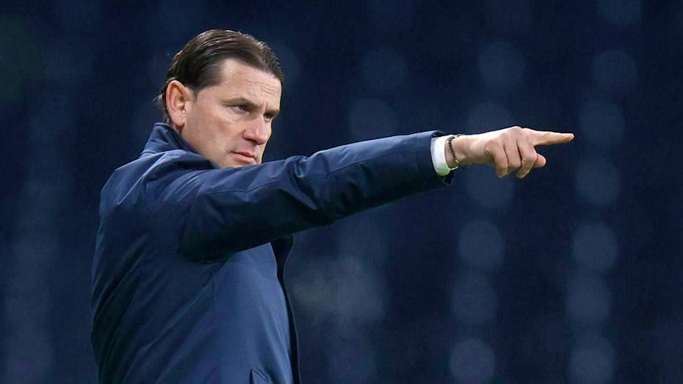 Gerardo Seoane has not yet been able to lead Young Boys back to success.