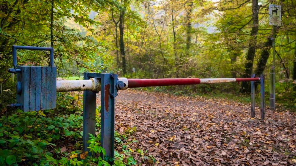 A barrier at the border between the municipalities of Bettingen (Switzerland) and Inzlingen (Germany). (archive image)