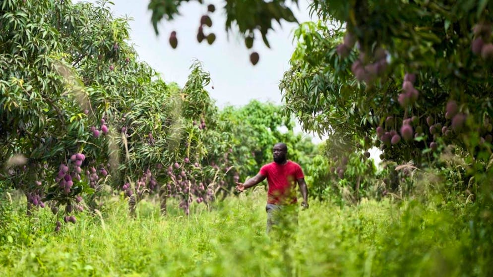 «The Narrative»: Doku zur Zerrissenheit von Ex-UBS-Händler Adoboli - Gallery. Der in Ungnade gefallene ehemalige UBS-Investmentbankers Kweku Adoboli in seiner neuen Heimat in Ghana.