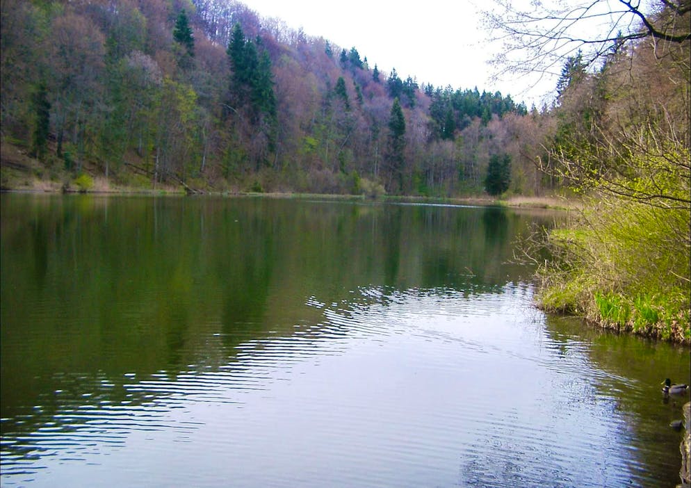 Although the Egelsee is barely bigger than a pond, it is the largest natural lake located entirely in the canton of Aargau.