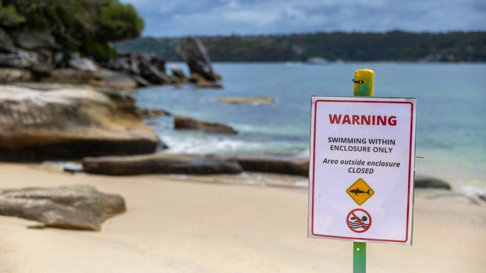 Fauna marina. In Australia si moltiplicano gli attacchi di squali a nord di Sydney