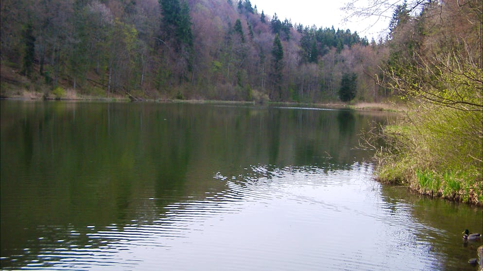 Ärger am Aargauer Egelsee. Dreiste Touristen gefährden Naturschutzgebiet – sogar Nacktshootings finden statt