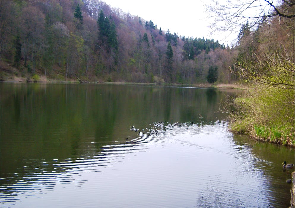 Obwohl der Egelsee kaum grösser ist als ein Weiher, gilt er als der grösste Natursee, der vollständig im Kanton Aargau liegt.