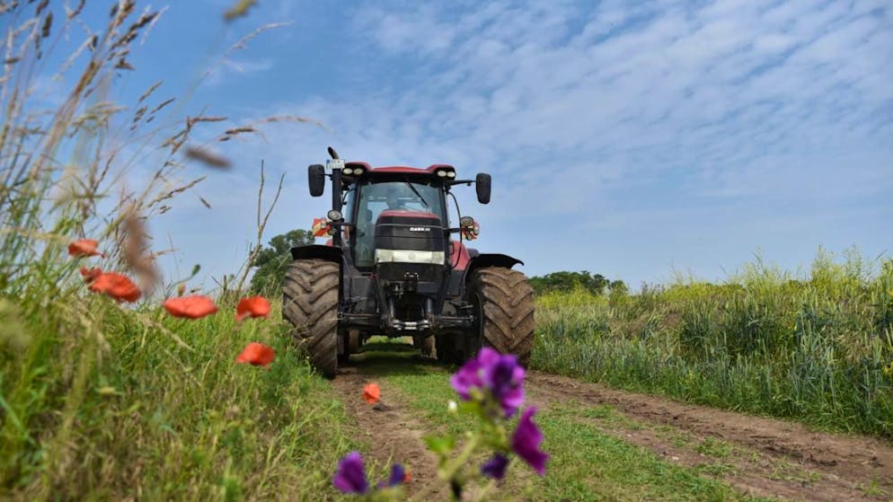 Alcuni incidenti mortali in ambito agricolo sono stati causati dal ribaltamento di trattori (foto d'archivio)