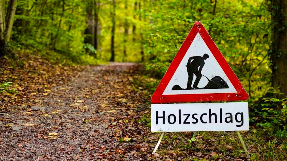 According to the Swiss Council for Accident Prevention in Agriculture, four people were fatally caught or hit by logs or tree parts last year. (archive picture)