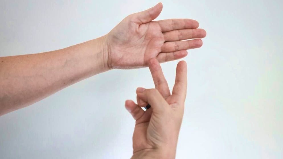 Sign languages are to be legally recognized in Switzerland. The responsible National Council committee is calling for a separate law for this purpose. (theme picture)