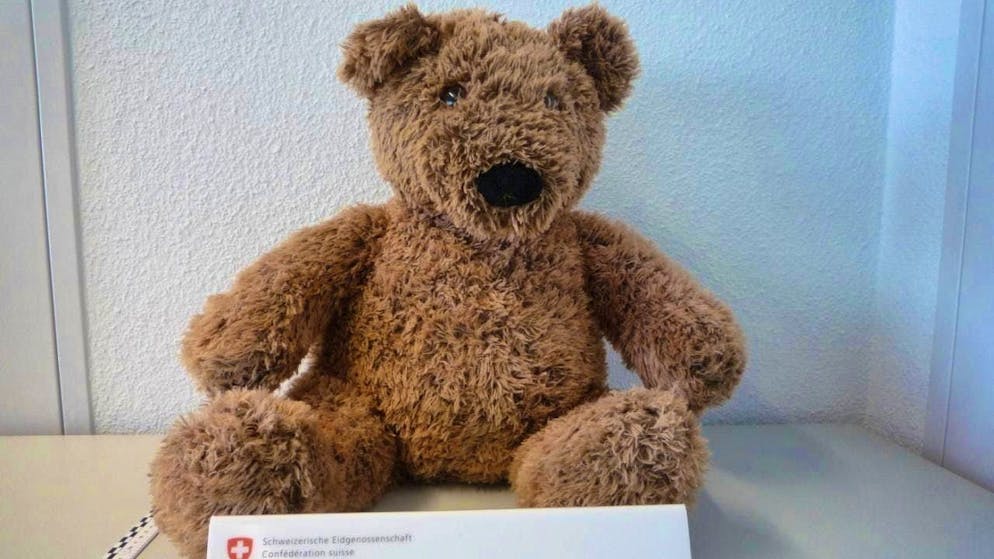 This teddy bear has it all. It was filled with marijuana. (archive picture)