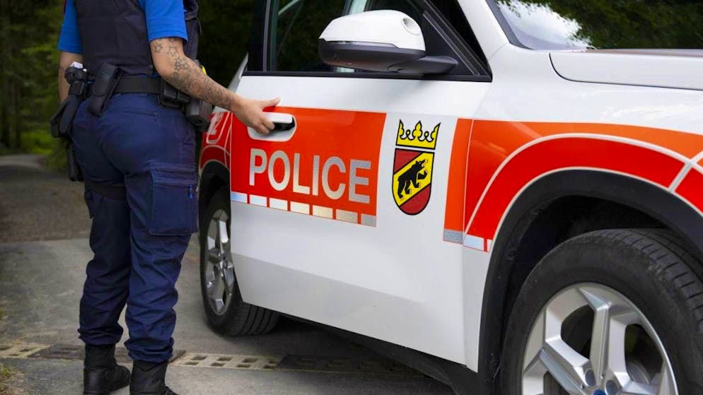 More than 20 pigs died in a barn fire in Dettligen BE on Sunday night. The barn was badly damaged. (archive picture)