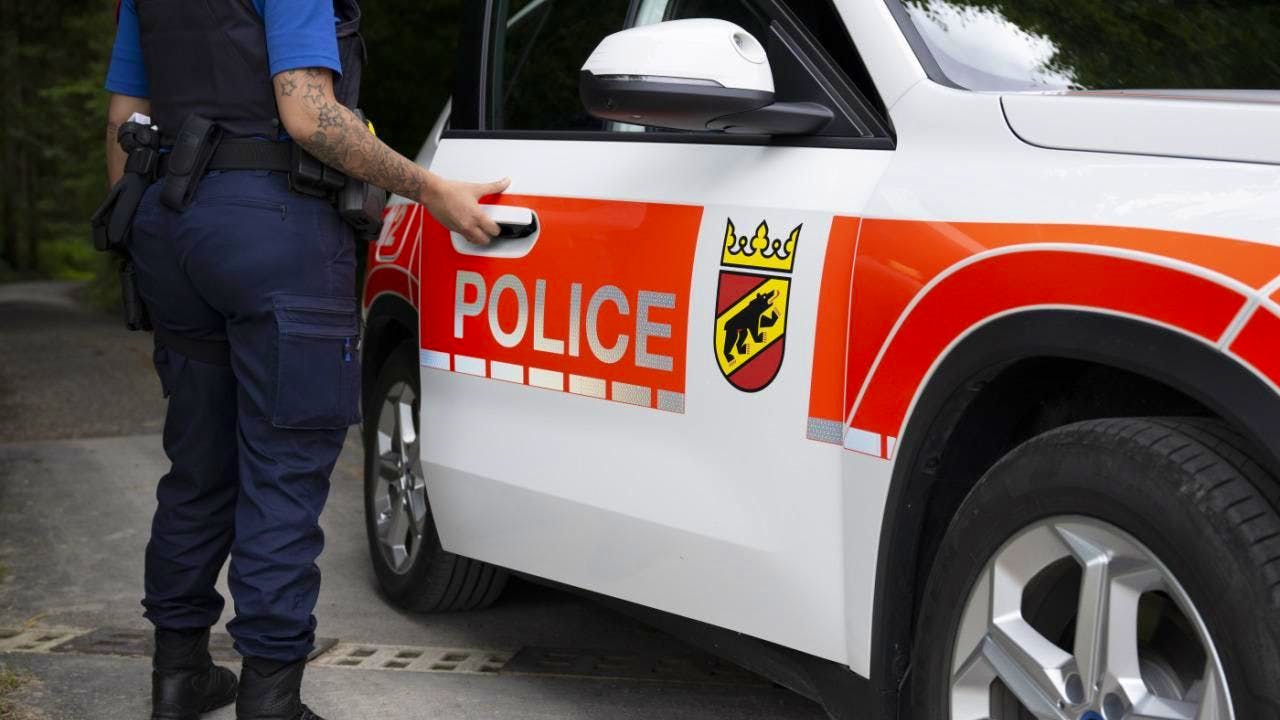 Fire, fire. Over 20 pigs die in barn fire in Detligen BE