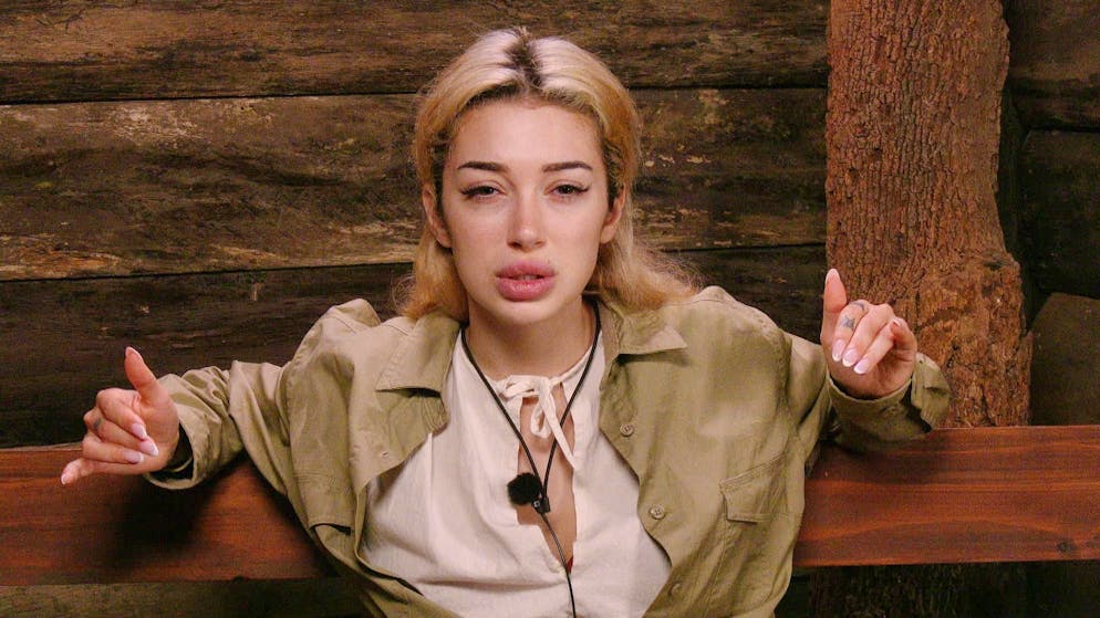 Frontal attack in the jungle camp. Basel native Ariel attacks singer Gil Ofarim and calls him a liar