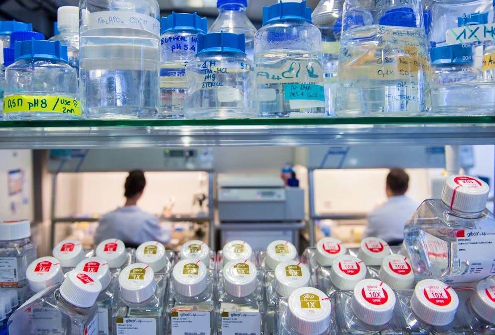 Valentina Ferrari lavora all'Istituto di ricerca in biomedicina (IRB) di Bellinzona dal 2023 (foto d'archivio):