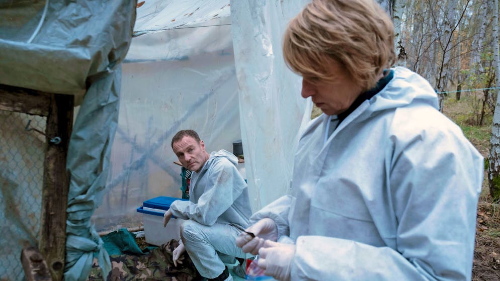 «Tatort» im Check: Wie oft töten Wölfe Menschen?. Susanne Bonard (Corinna Harfouch) und Robert Karow (Mark Waschke) werten die Spuren am Tatort aus. Wurde der tote Obdachlose tatsächlich vom freilaufenden Wolf getötet?
