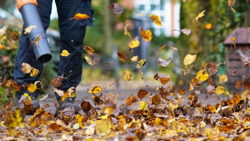 Si potranno usare ancora per un po', ma i giorni per i soffiatori a benzina sono contati a Zurigo. (Immagine d'archivio).