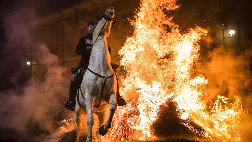 Tradition oder Tierquälerei?. 500 Jahre alter Brauch zwingt Pferde durchs Feuer
