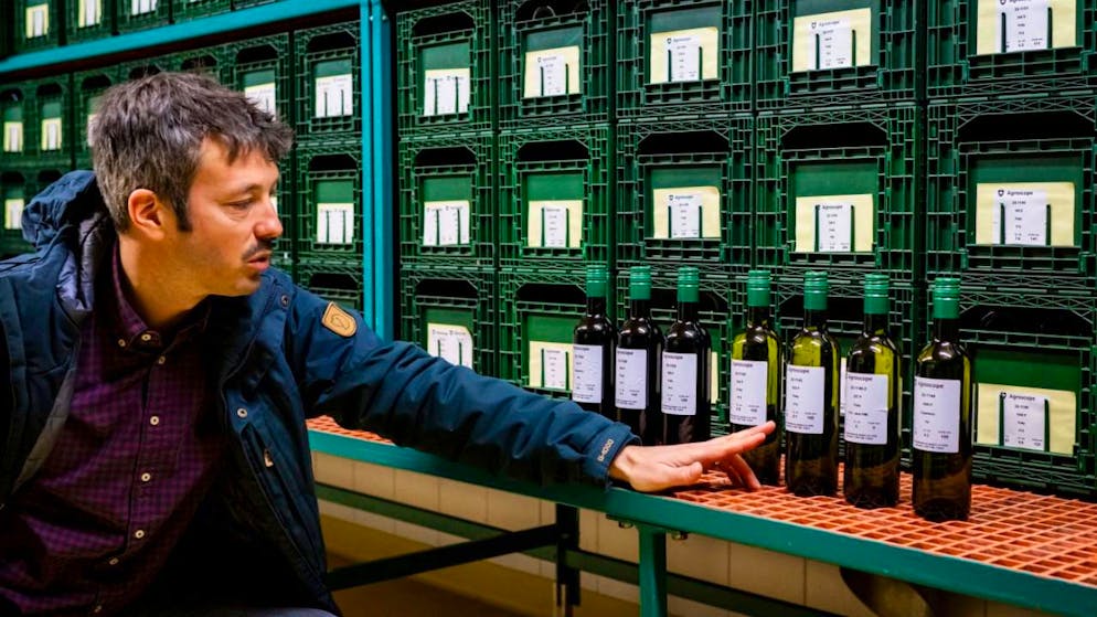 Jean-Sébastien Reynard von Agroscope präsentierte am Dienstag im Forschungszentrum in Pully VD die Weinflaschen mit sieben neuen Rebsorten. Die Rebsorten wurden im Vorfeld der Fachmesse Agrovina in Martigny vom Donnerstag erstmals der Öffentlichkeit vorgestellt.