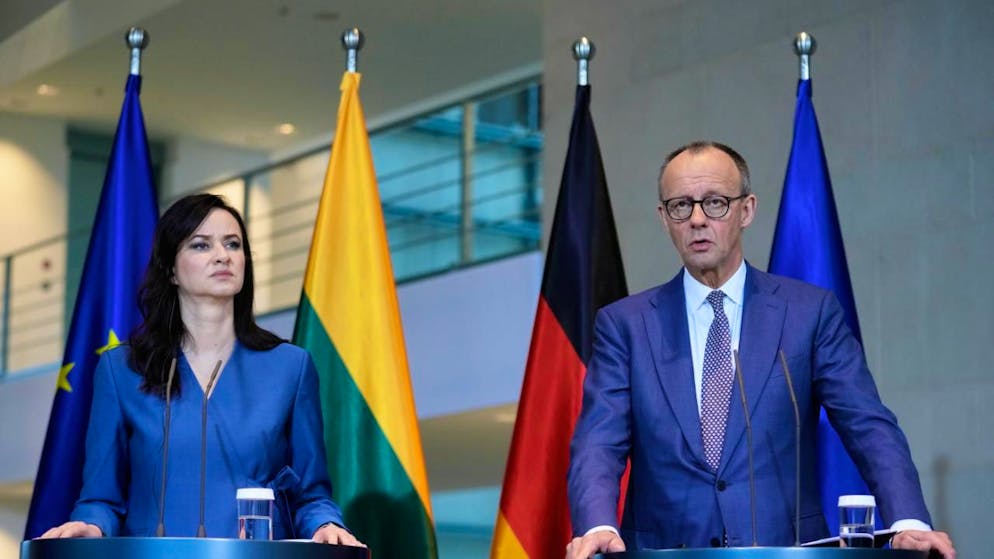 Il cancelliere tedesco Friedrich Merz e la premier lituana Inga Ruginiene.