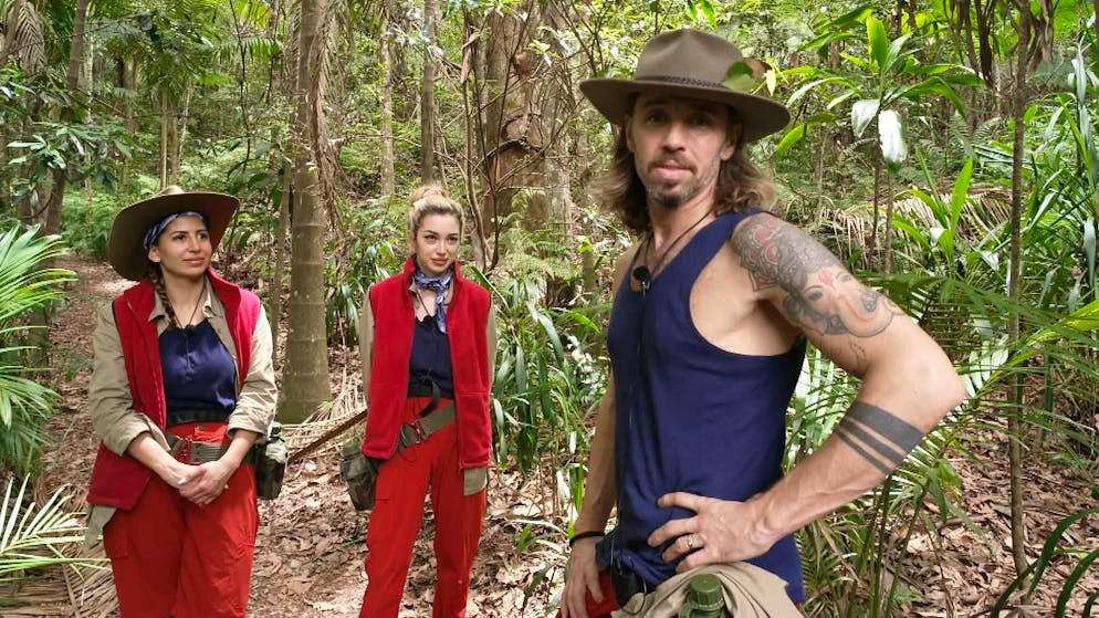 Streit im Dschungelcamp eskaliert: Ariel dreht durch und droht RTL: «Ich gehe jetzt raus» | blue News