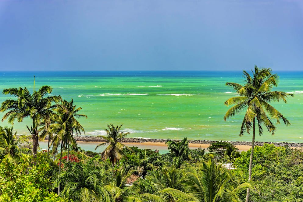 L'Etat de Pernambuco, où se trouve Olinda, attire les touristes grâce à ses plages paradisiaques, mais la présence de requins est connue dans la région.