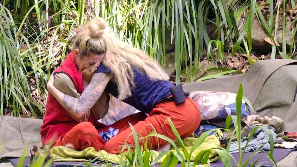 Day 8 in the jungle camp. 