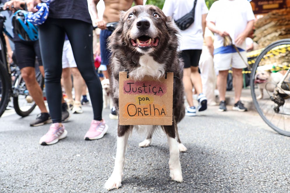 Proteste in piazza in Brasile
