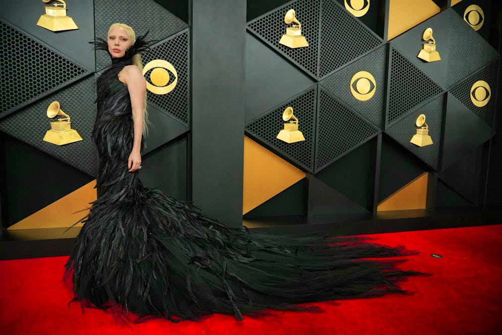 The best and most eye-catching outfits of the 2026 Grammys. Lady Gaga stepped onto the red carpet in a feather dress.