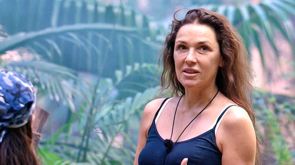 «Dschungelcamp Tag» 11. Gil Ofarim muss eine Dschungelprüfung in einem riesigen Aquarium antreten.