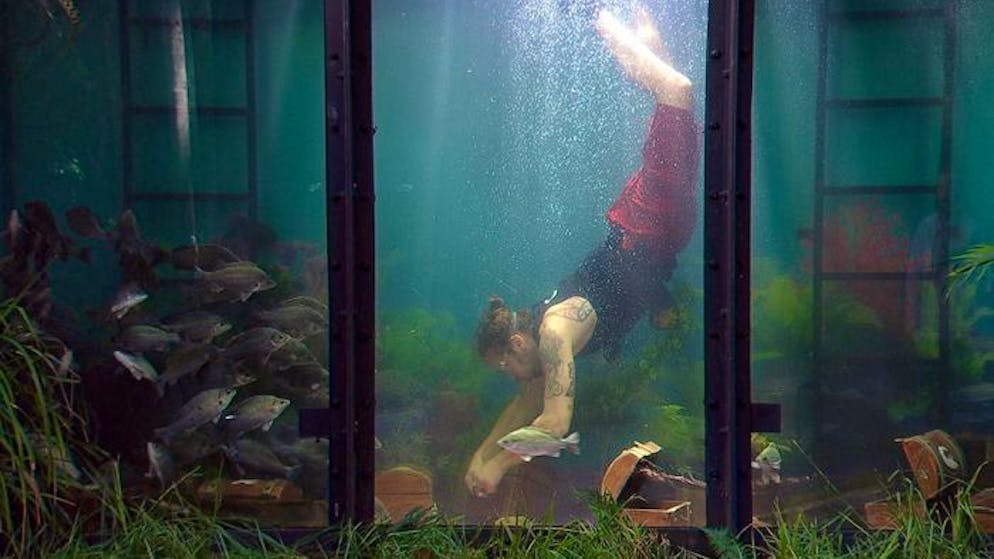 «Dschungelcamp Tag» 11. Gil Ofarim muss eine Dschungelprüfung in einem riesigen Aquarium antreten.