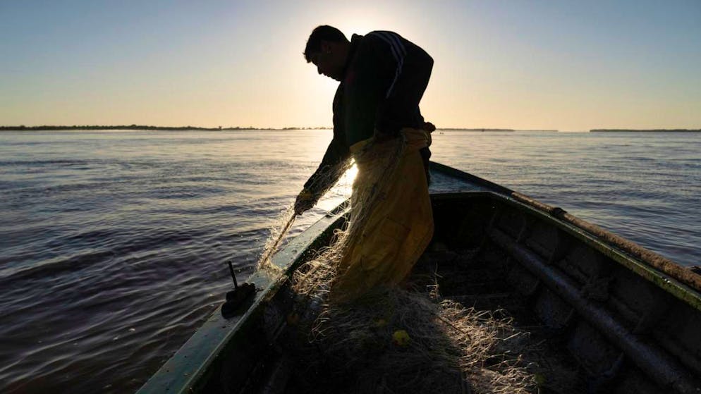 Il pericolo si nasconde nelle acque di un braccio del Delta del Paranà. (Immagine d'archivio).