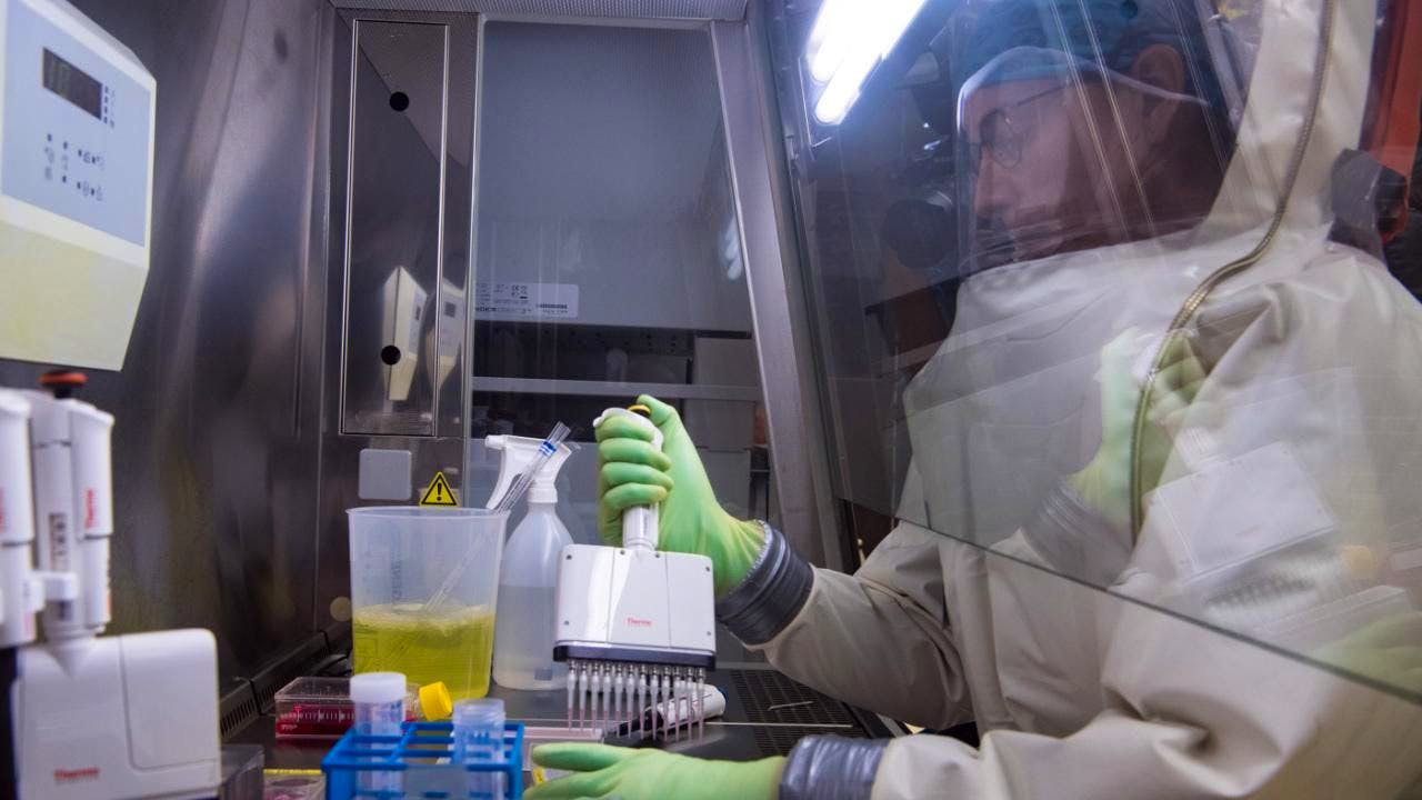 Sanità. Ad aprile i primi test per un vaccino contro il virus Nipah