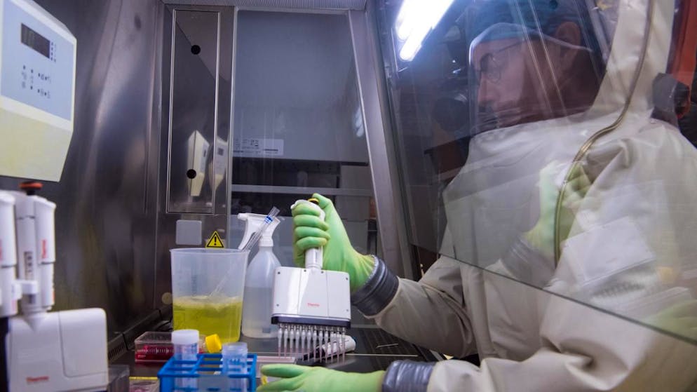 Università di Tokyo. Ad aprile i primi test per un vaccino contro il virus Nipah